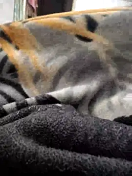 TwinklyBasket897 online show from December 14, 4:34 pm