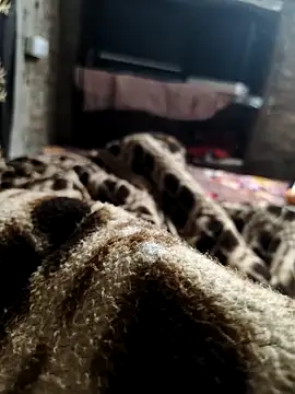 Snapshot of NEW_CPL786 chatting on December 5, 2:43 am NEW CPL786 online show from December 5, 2:43 am