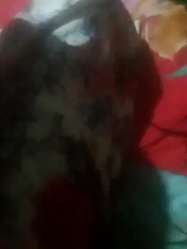 qeen3321 online show from November 29, 5:24 pm