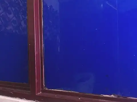 vrositaper online show from December 1, 9:15 pm