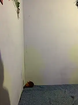 Arely-L1 online show from February 9, 12:30 am