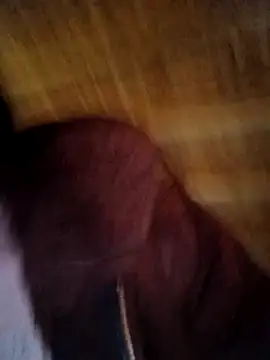 Evelyn-n online show from February 11, 6:57 am