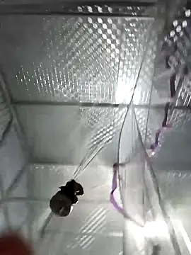 Evelyn-n online show from March 4, 12:24 pm