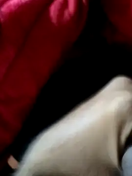 mast boy online show from December 14, 8:53 am