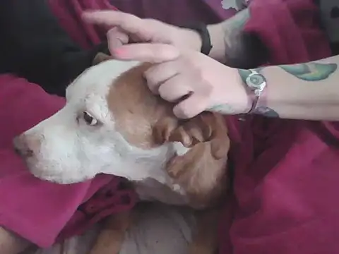 Snapshot of Darkytah chatting on February 20, 3:36 pm Darkytah online show from February 20, 3:36 pm