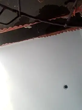 RADHIKA-1143 online show from December 5, 10:36 am