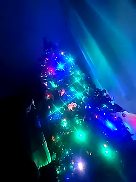 Snapshot of LoveTJ664 chatting on December 17, 2:38 am LoveTJ664 online show from December 17, 2:38 am