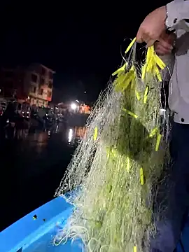 A-ZJunn online show from January 8, 12:55 pm