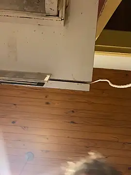 Petebulimia online show from February 23, 4:40 pm