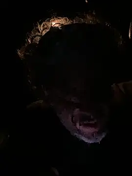 Petebulimia online show from March 13, 1:54 am