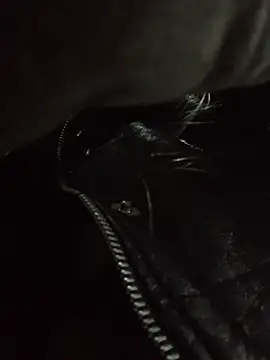 Katia-LS online show from November 30, 7:14 pm