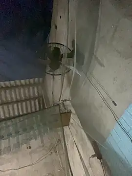 Lilik2 online show from February 7, 1:52 pm