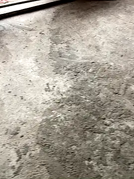 Lilik2 online show from December 20, 9:34 am