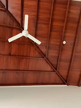 Dahan99346 online show from December 18, 6:18 am