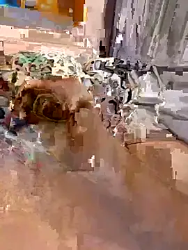 en93000 online show from April 7, 5:42 am