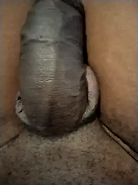 Piazza21 online show from January 16, 5:22 am