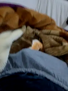 KF hway online show from March 10, 7:51 pm