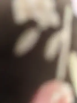 Miky Lyn online show from January 13, 8:07 am