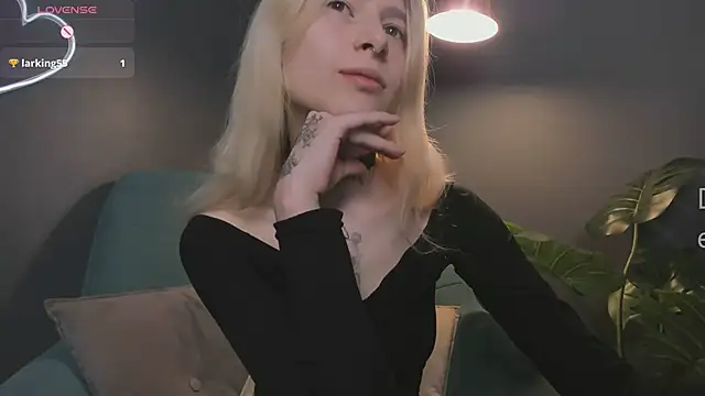 error occurred  online show from February 1, 12:14 pm