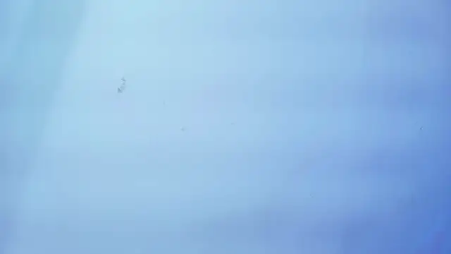 Nicole sounders online show from January 19, 11:25 am