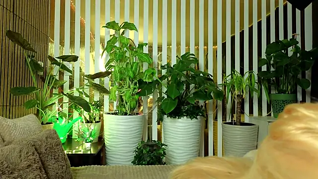 FlowweerGirl online show from December 15, 9:42 pm