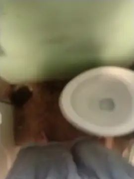 bigjohnson2914 online show from March 13, 1:05 pm