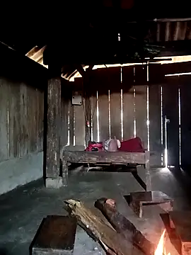 ava-dellght online show from January 7, 2:16 am