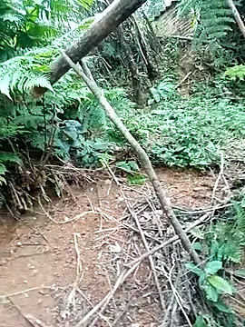 ava-dellght online show from January 17, 2:37 am