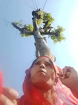 rashi 73 online show from December 16, 5:44 am