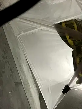 Wendy-babyy online show from December 16, 4:44 pm