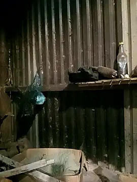 sary-hot2x online show from January 7, 11:43 pm