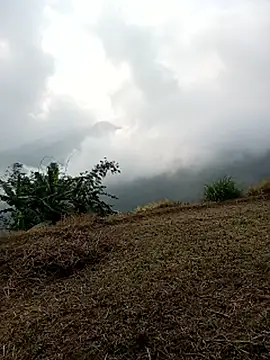 sary-hot2x online show from March 25, 2:23 am