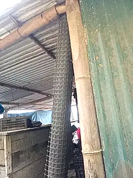 sary-hot2x online show from March 1, 3:50 am