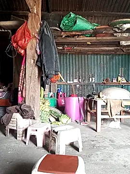 sary-hot2x online show from March 2, 4:13 am