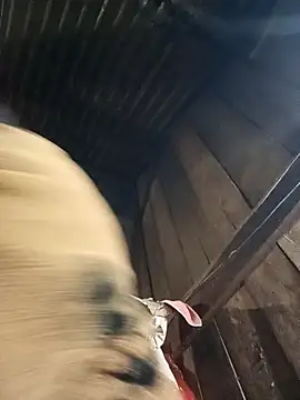 sary-hot2x online show from January 9, 12:01 pm