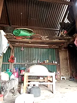 sary-hot2x online show from March 26, 5:17 am