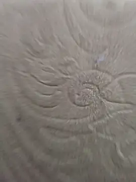 Snapshot of Rent_your_boyfriend chatting on January 8, 8:42 am Rent your boyfriend online show from January 8, 8:42 am