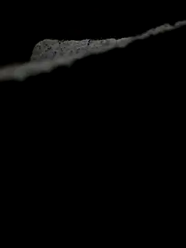 Snapshot of 634Josh chatting on December 3, 8:36 am 634Josh online show from December 3, 8:36 am