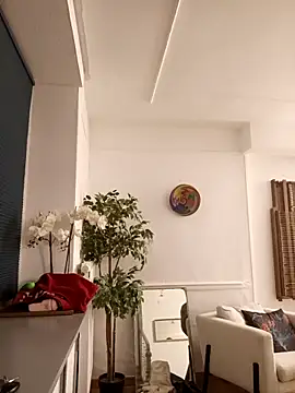 jefflatex45 online show from December 21, 8:31 pm