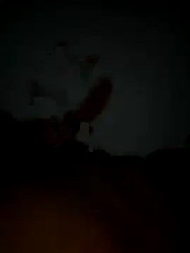 Pascarbo 00 online show from December 19, 2:04 am