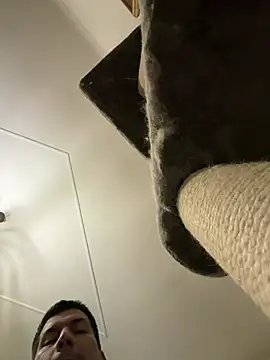 CharlyAlfa22 online show from February 11, 11:26 pm