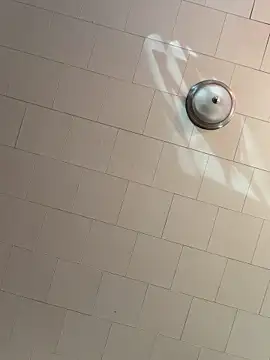 rosiebuddy online show from March 9, 4:10 pm