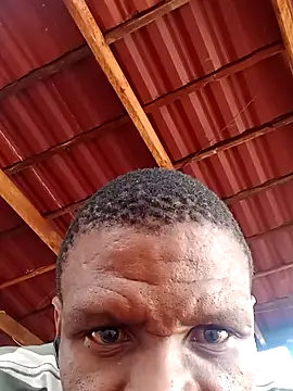 msindo online show from April 9, 6:30 am