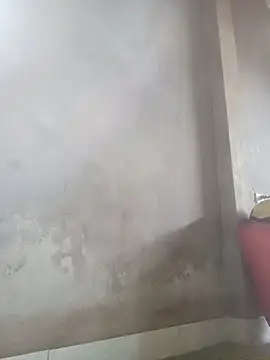 mon-monk online show from December 20, 2:36 am