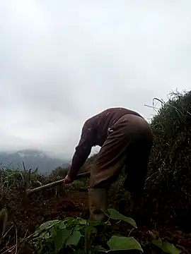 mon-monk online show from December 17, 1:10 am