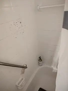 SpiderRose online show from February 21, 2:08 pm