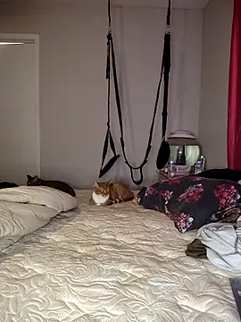 SpiderRose online show from December 15, 5:52 pm