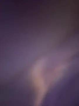 Wailsaa sdf online show from February 8, 1:20 pm