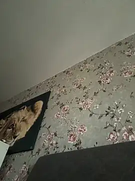 Alexmarcov online show from April 19, 4:52 pm