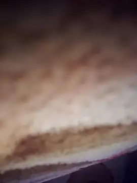 samanahuja online show from December 19, 8:44 pm